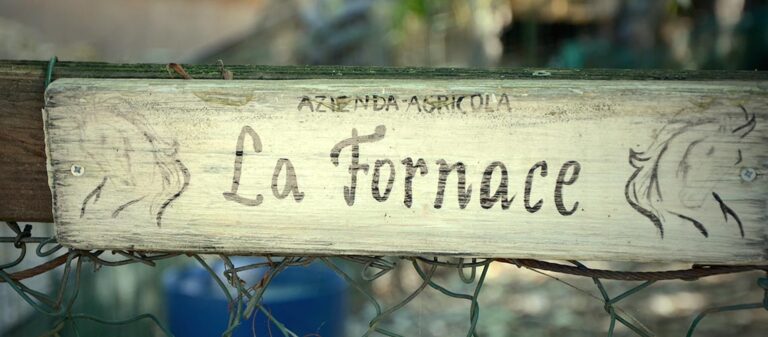 Agriturismo La Fornace a Senna Comasco, di Formenti Ivan