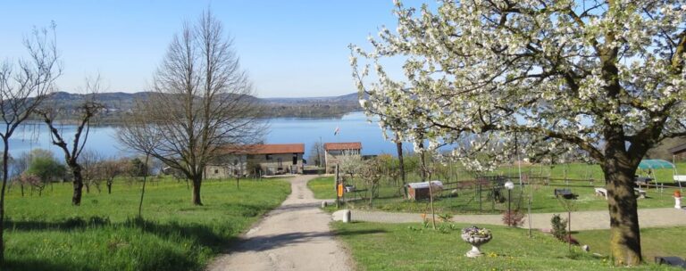 Agriturismo Il lago e le stelle