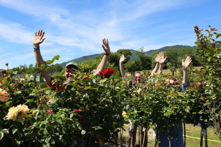 I giardini del lago, bottega/spuntini/pernottamento/manutenzione del verde/servizi agronomici