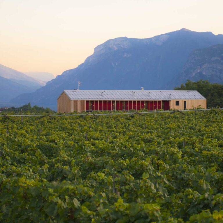 8 Grappoli Agritur