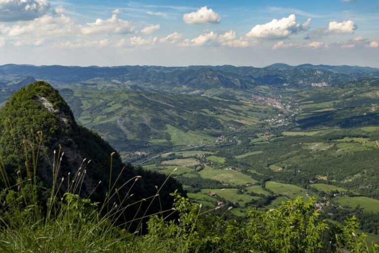 Azienda Agricola La Casetta