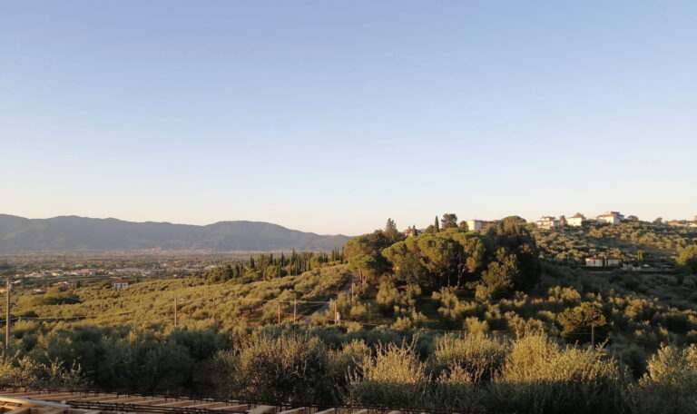 La Fattoria dei Crociali