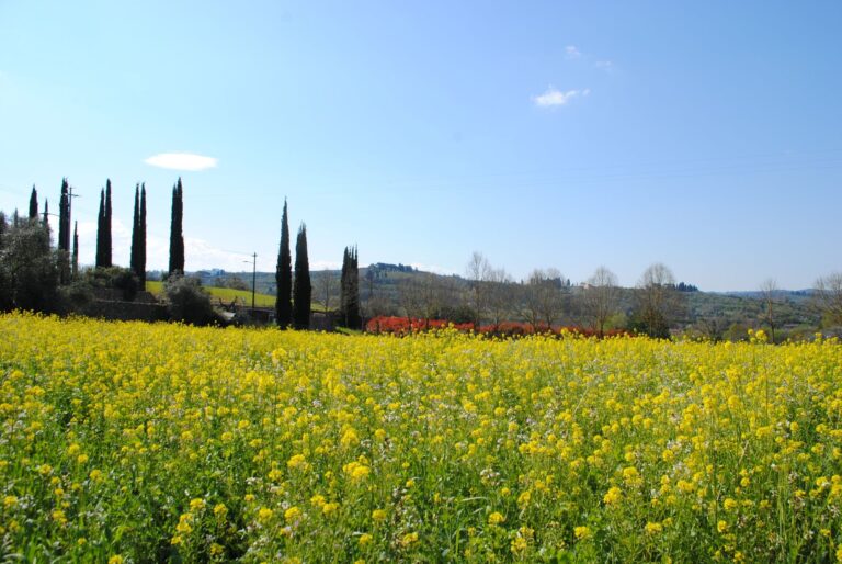 Agriturismo Fattoria di Malavolta