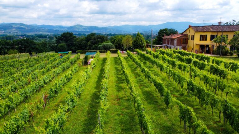 Agriturismo Magic Moments