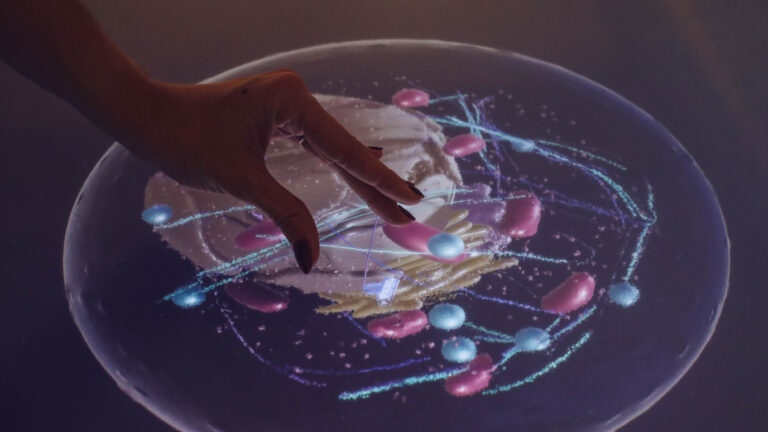 IS Immaginario Scientifico Trieste – Museo della Scienza
