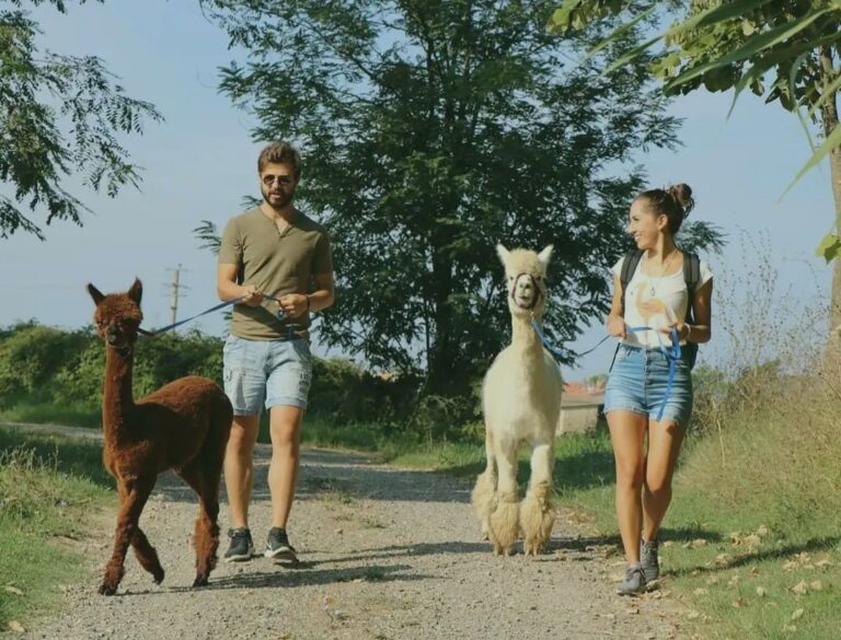 Fattoria Pernici(solo su prenotazione)