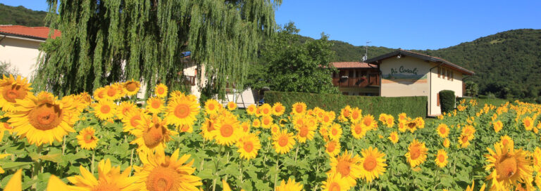 Agriturismo Ai Casali