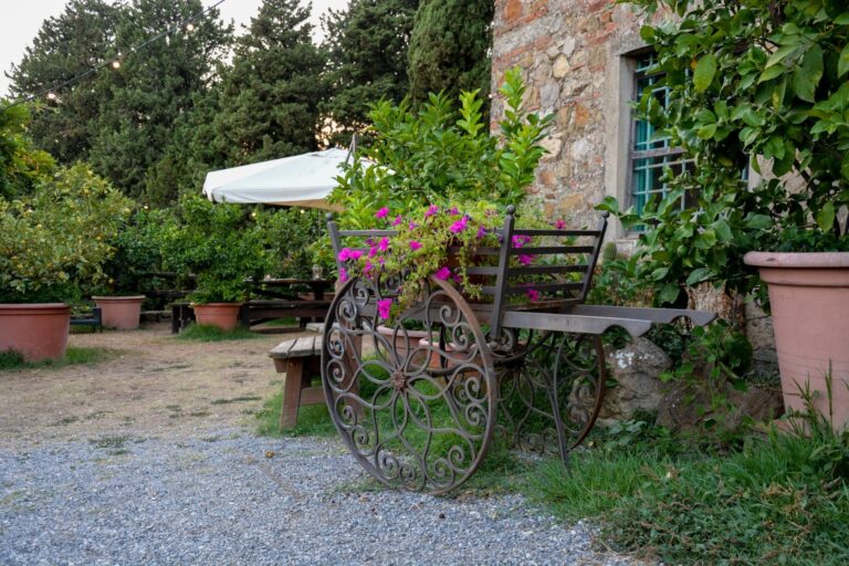 Azienda Agricola IL POGGIOLINO Montemurlo