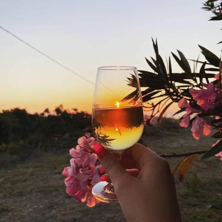 Agriturismo Monte Entosu