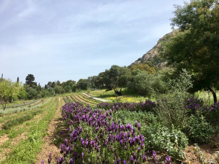 Agriturismo La Casa delle Fate di Costanza Bonacossa