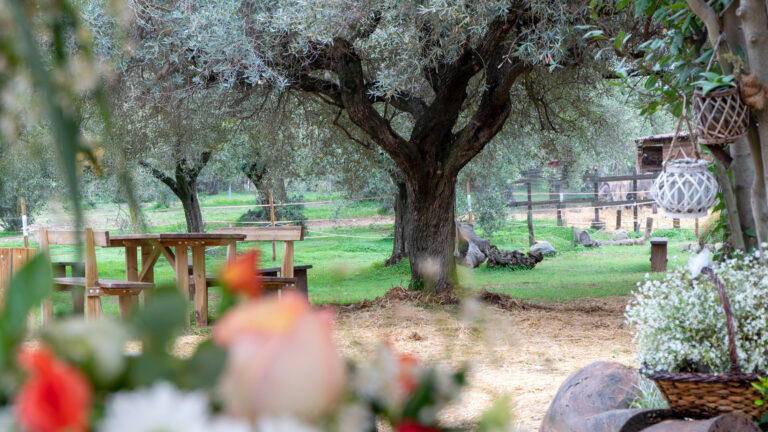 Agriturismo Su Leunaxiu
