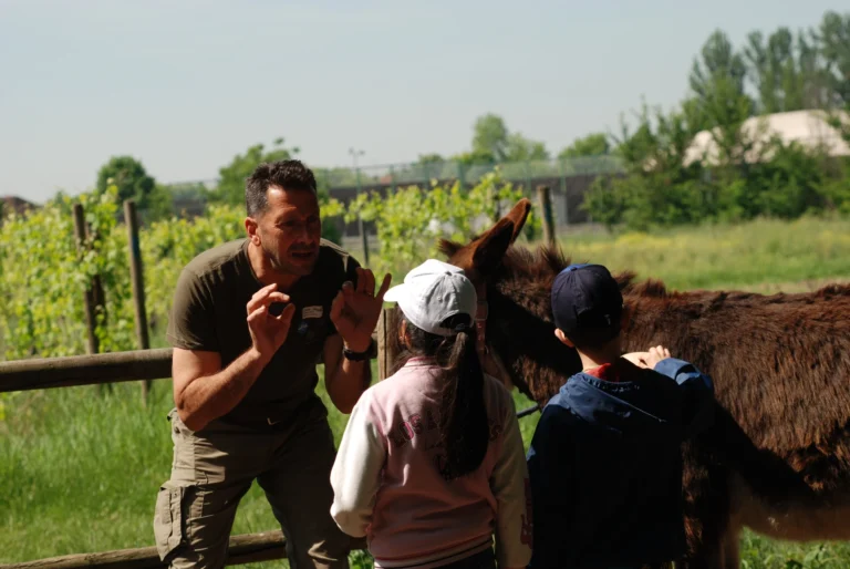 Azienda Agricola Corte Forni