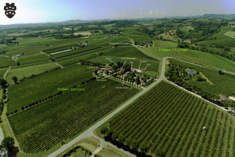 Trerè Agriturismo e Vini a Faenza