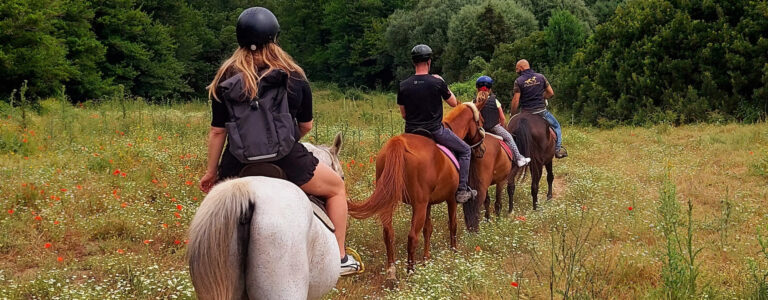 La Prugnola Ranch – Passeggiate a cavallo Costa Smeralda