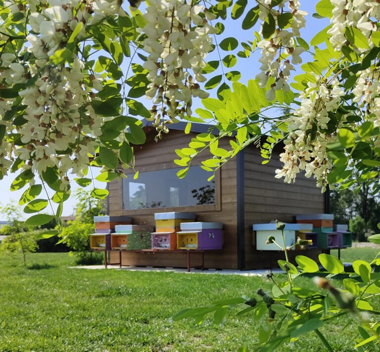 Le Api di Demetra – Fattoria didattica e Agri-benessere