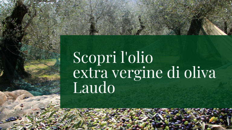 Fattoria Grimana