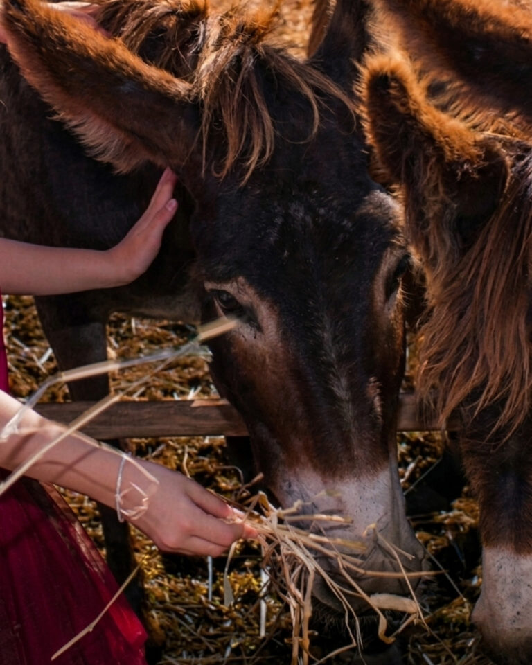 Bio Fattoria Augustali