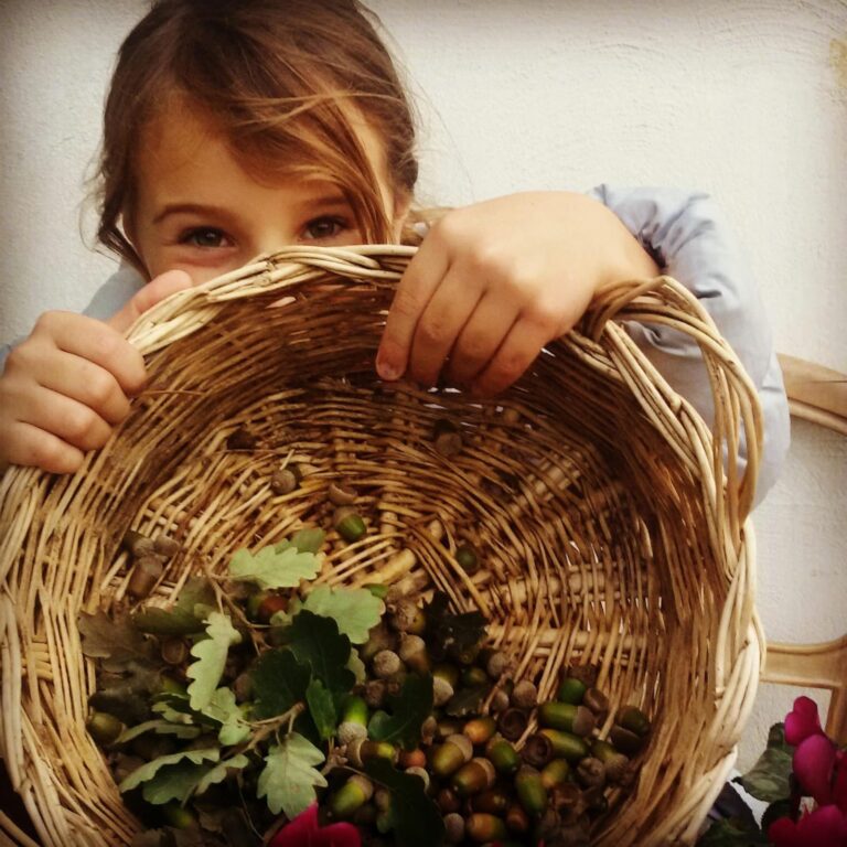 Agriturismo Campoletizia