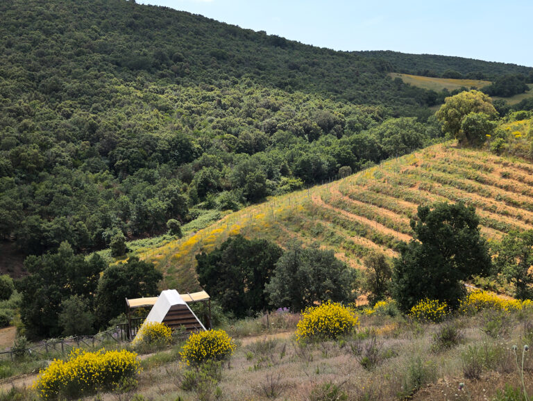 Agriristoro, Ecofattoria – Il Bosco Felice