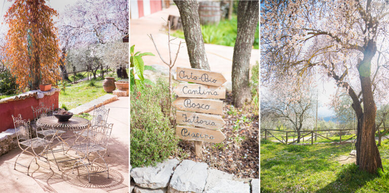 Agriturismo Il Giardino dei Mandorli