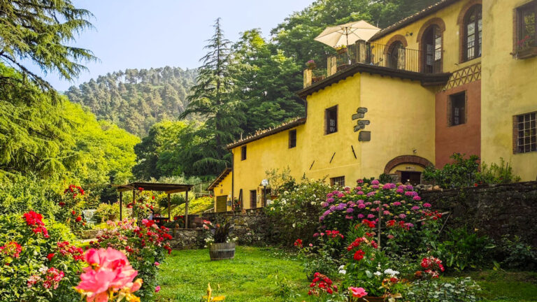 Azienda Agrituristica A Casa Del Tosi