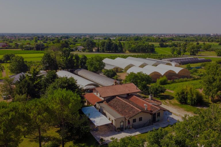 Agriturismo “AL FAGGIO”