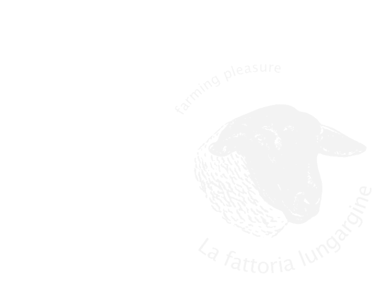 Fattoria Lungargine
