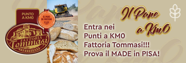 Fattoria Tommasi