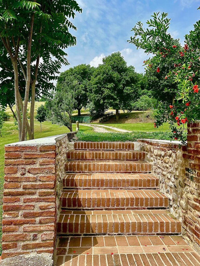 Tenuta ai Colli