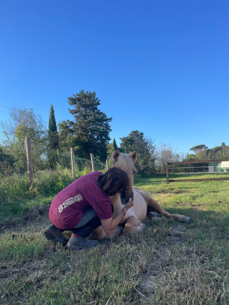 Playfarm da Gina
