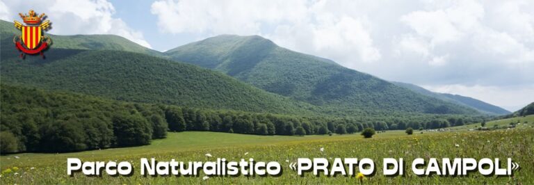 Parco Avventura Prato di Campoli