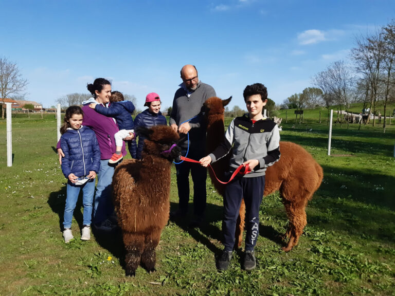 Agricampeggio – Alloggio agrituristico – Fattoria Didattica Pane e Bellezza