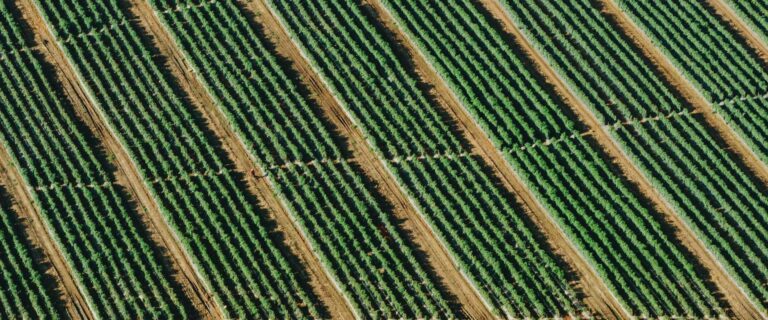 Fattoria didattica naturarte
