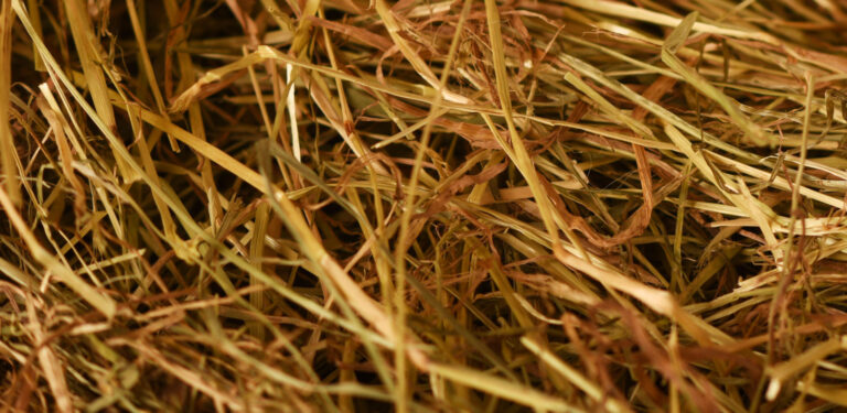 Azienda Agricola La Valle Del Grino