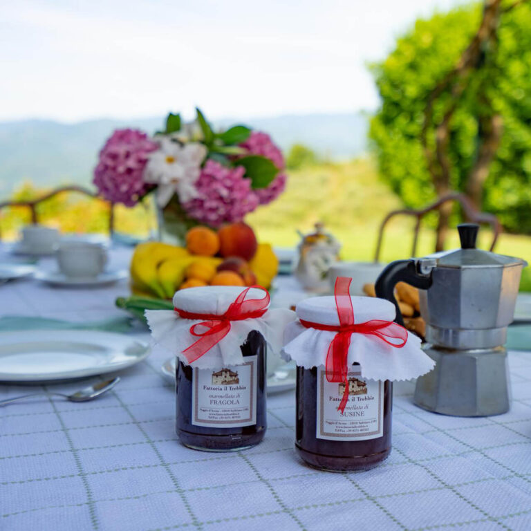 Fattoria Il Trebbio