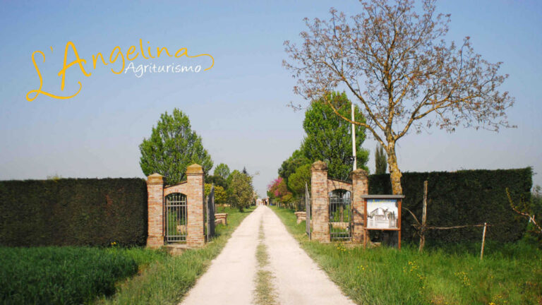 Agriturismo l’Angelina