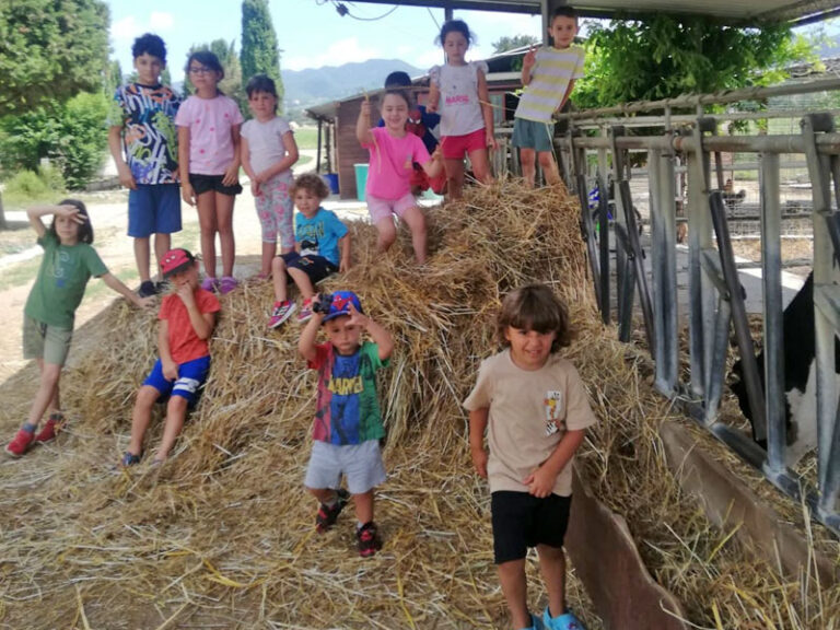 Agriturismo Palazzo Vecchio