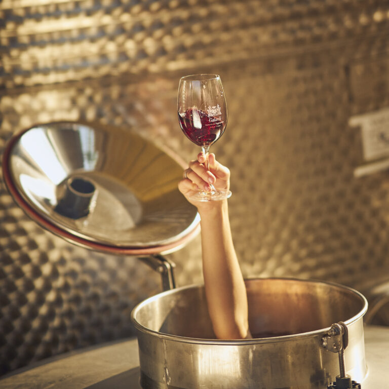 Fattoria di Poggiopiano Winery