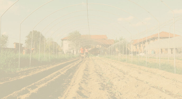 Azienda Agricola RAM – Radici a Moncalieri
