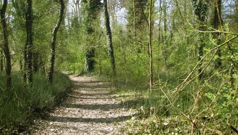 Oasi Lipu Bosco Negri