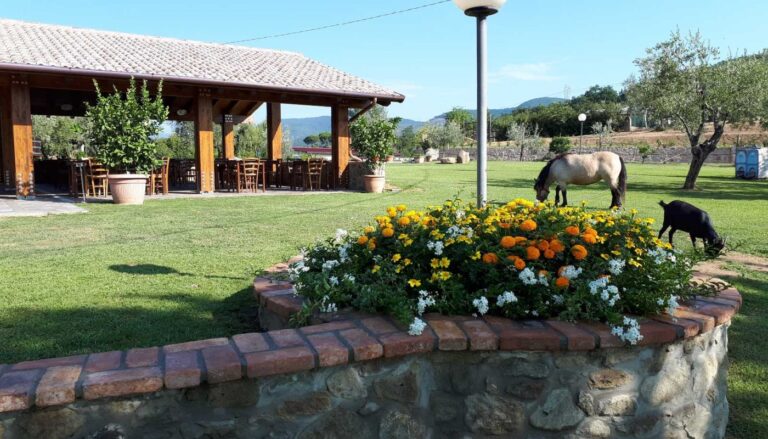 Agriturismo Poggetto CIN IT047006B539RKPMIF