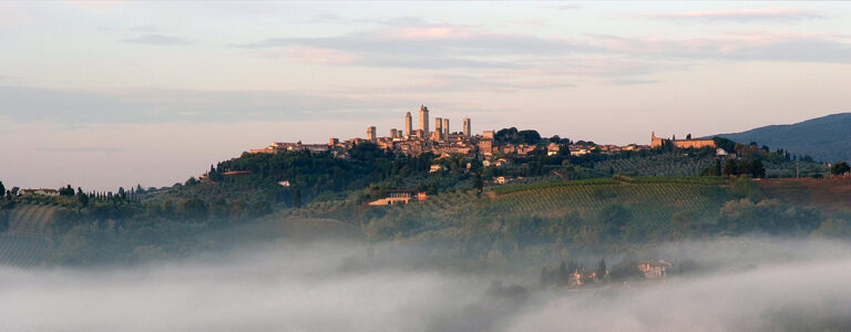 Fattoria Poggio Alloro