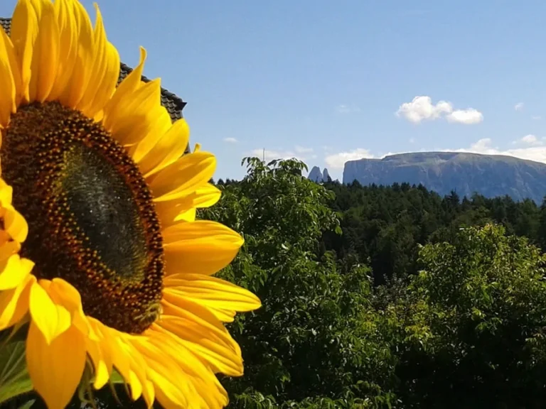 Ferienwohnung-Urlaub am Bauernhof Südtirol-Ritten-Bozen Untertrotnerhof