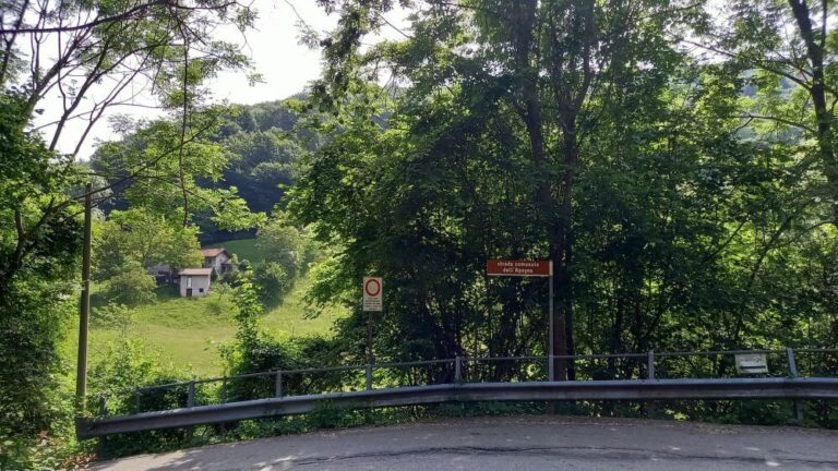 Azienda Agricola Terra di Mezzo