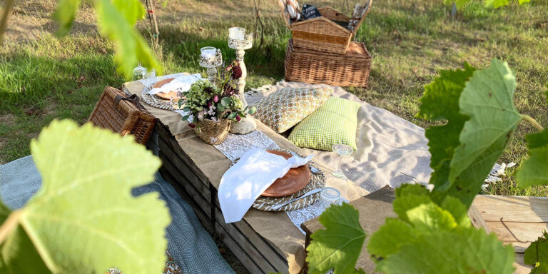 Agriturismo La Nuova Fattoria