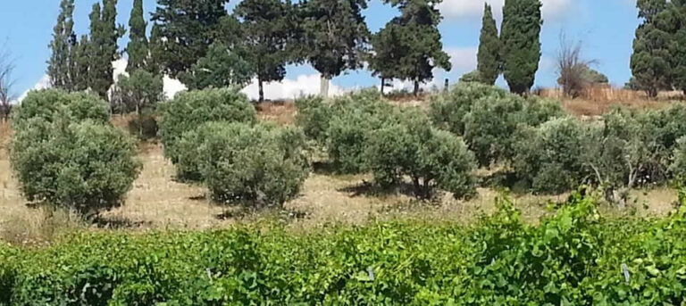 Agriturismo Santu Marcialis