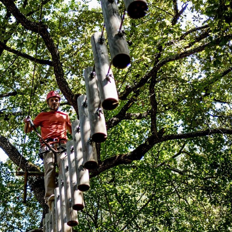Saltalbero Parco Avventura